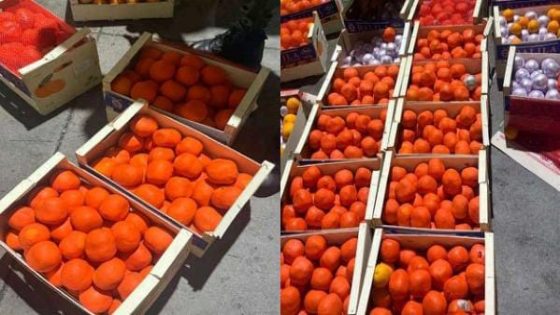 إحباط عملية تهريب أربعة أطنان من مخدر الشير بطنجة المتوسط (فيديو)