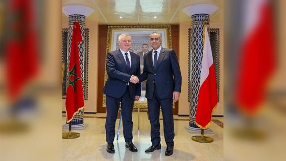 حموشي يستقبل الوزير المنتدب لدى الوزير الأول المكلف بالتنسيق بين المصالح الأمنية والأجهزة الخاصة بدولة بولونيا (صور)