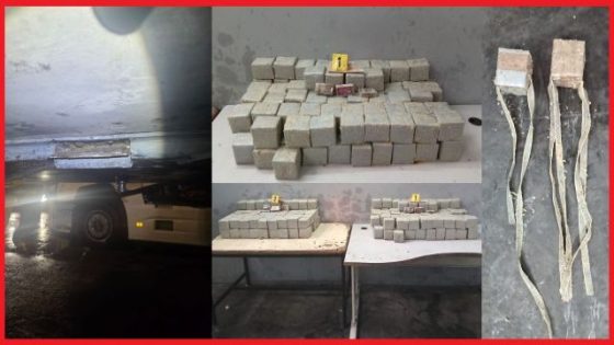 إحباط تهريب 181 كيلوغرام من الشيرا بميناء طنجة المتوسط