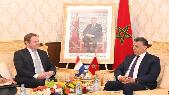 وزير العدل عبد اللطيف وهبي يبحث الأمن القضائي مع هولندا