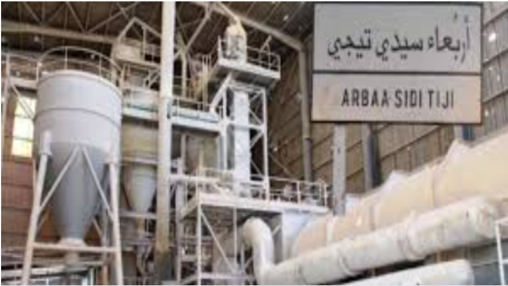 مصنع الجبس بسيدي التيجي بإقليم آسفي.. استثمار مغربي يشغل 110 عاملاً