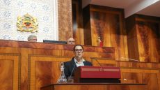 المنصوري تؤكد أمام البرلمان: مغربية الصحراء خط أحمر.. والقضية الفلسطينية ثابث وطني